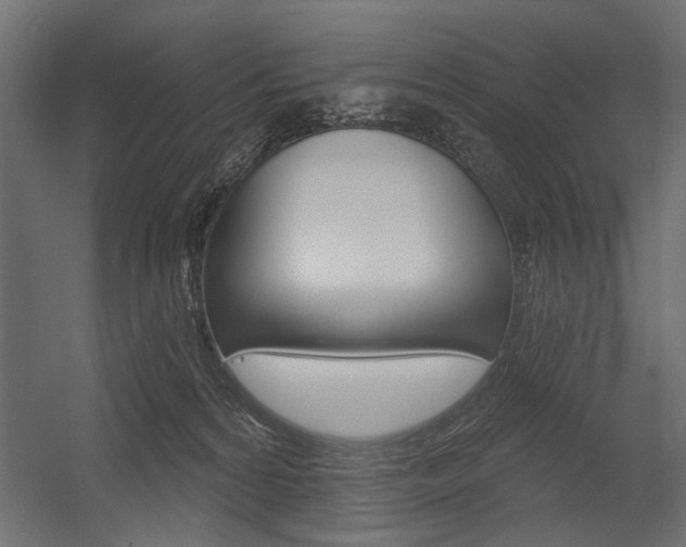 X0000054360224200507290813