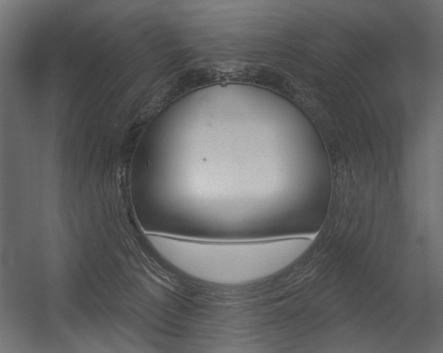 X0000054360225200507290813