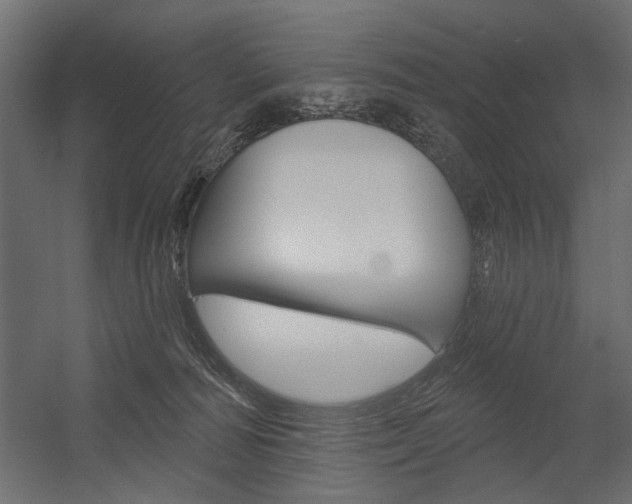 X0000054360226200507290813