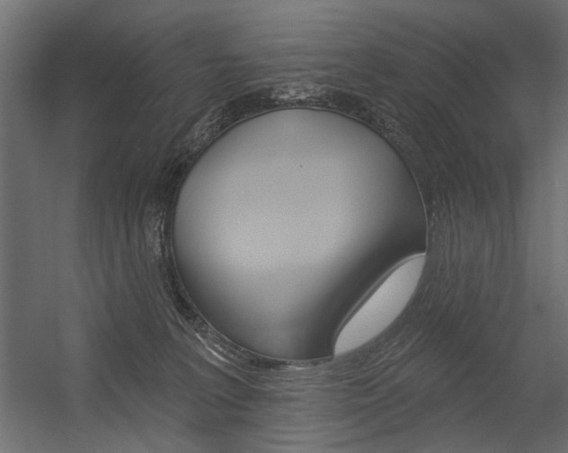 X0000054360227200507290813
