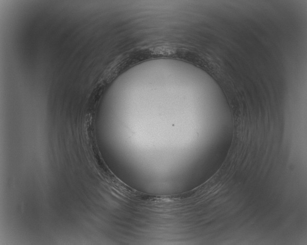 X0000054360229200507290813
