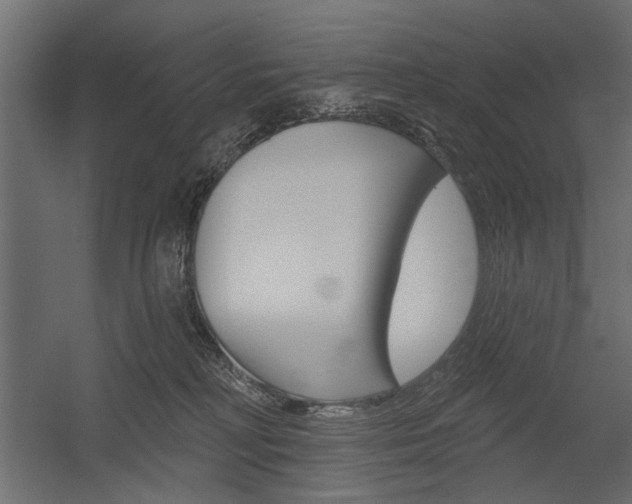 X0000054360230200507290813