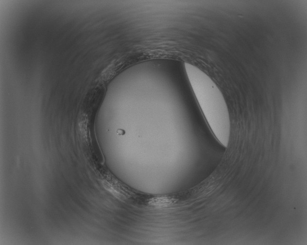 X0000054360231200507290813