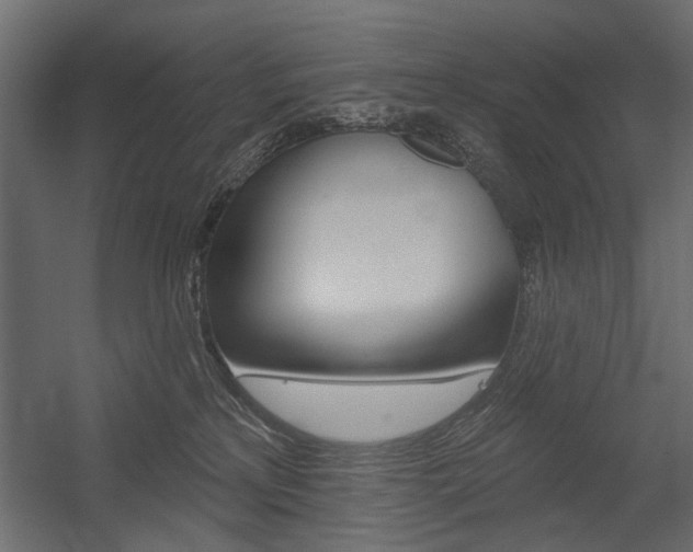 X0000054360233200507290813