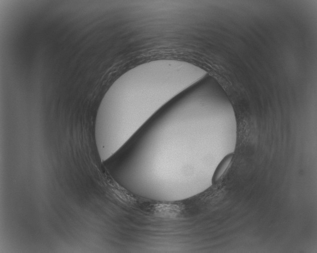 X0000054360234200507290813