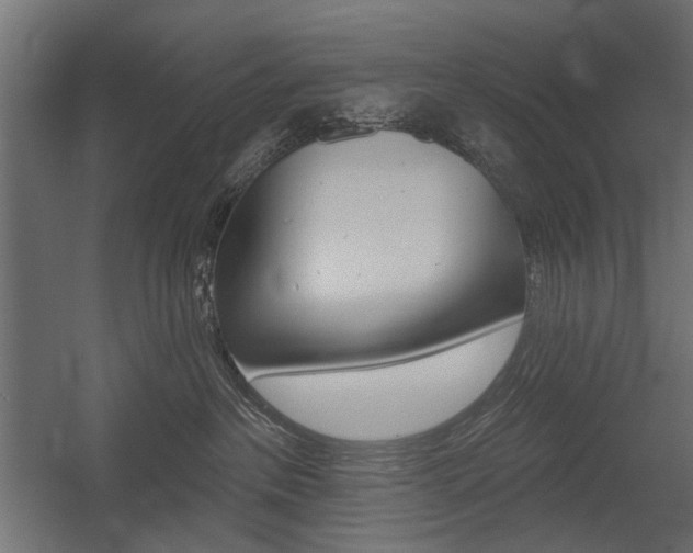 X0000054360237200507290813