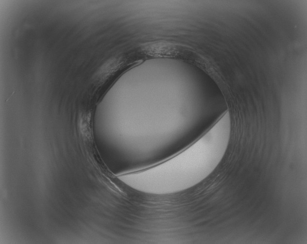X0000054360239200507290813