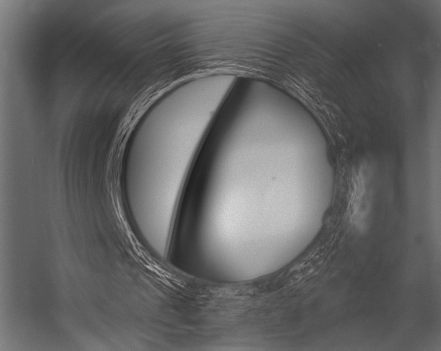 X0000054360241200507290812