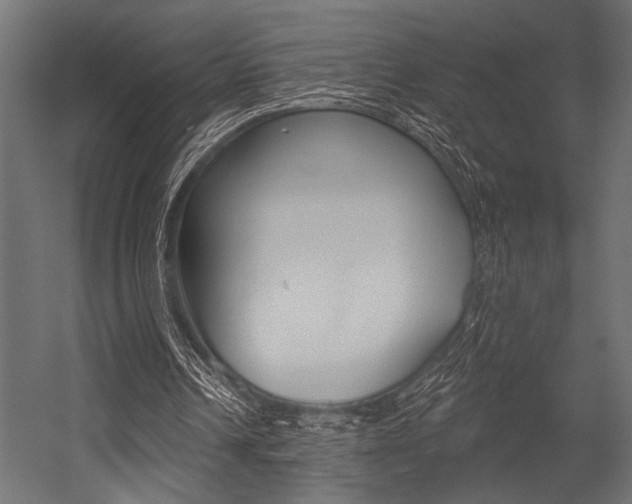 X0000054360242200507290812