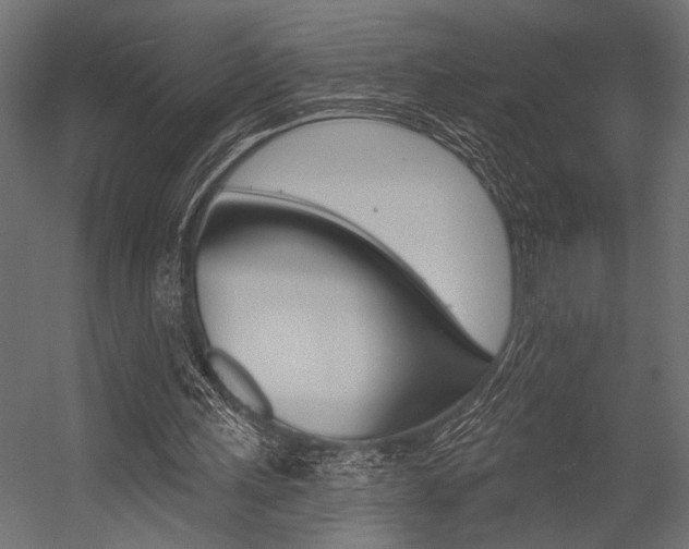 X0000054360243200507290812