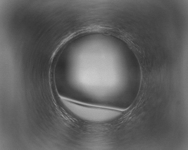 X0000054360244200507290812