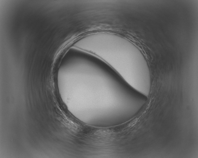 X0000054360245200507290812