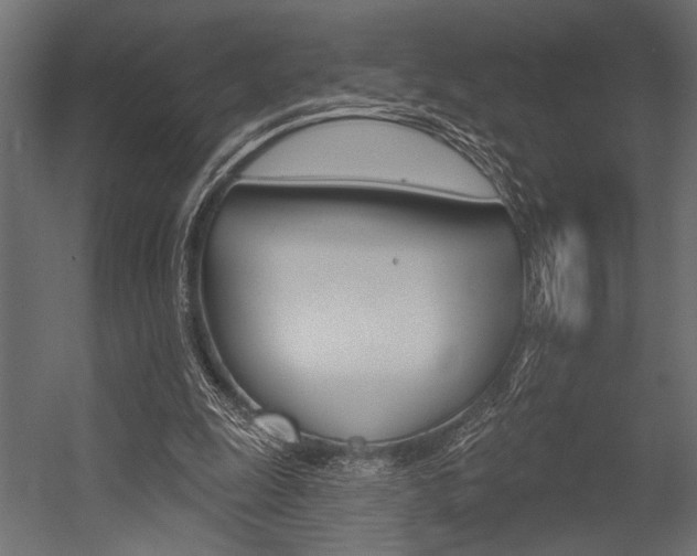 X0000054360247200507290812