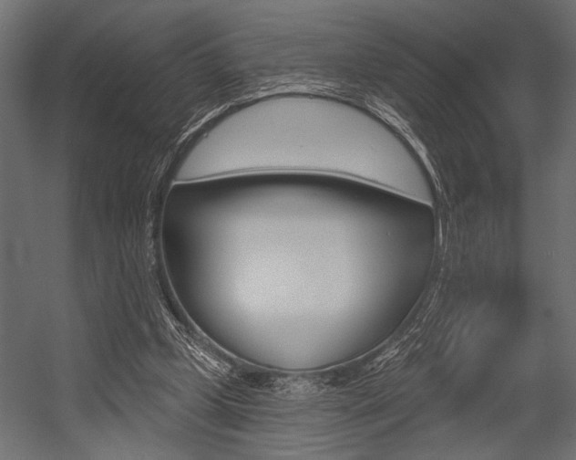 X0000054360249200507290812