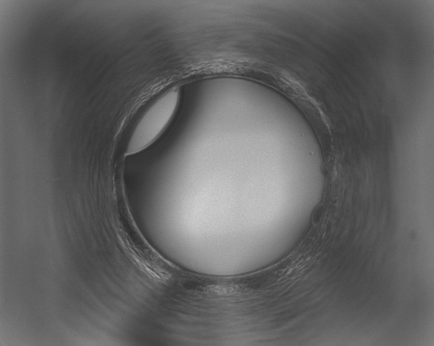 X0000054360250200507290812