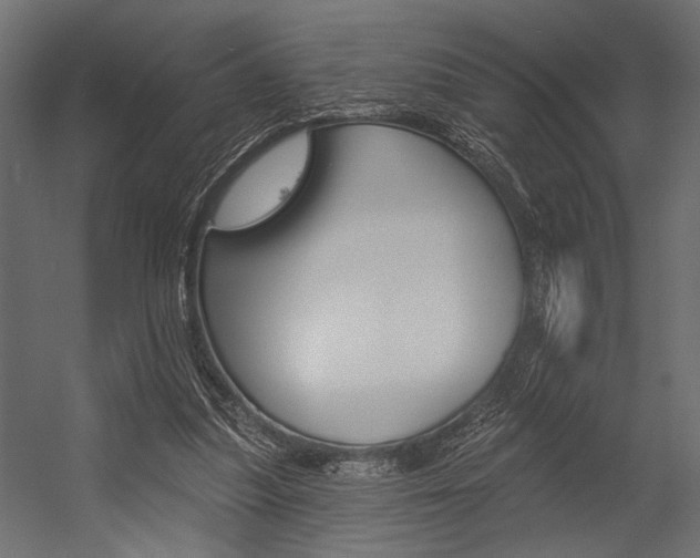 X0000054360251200507290812