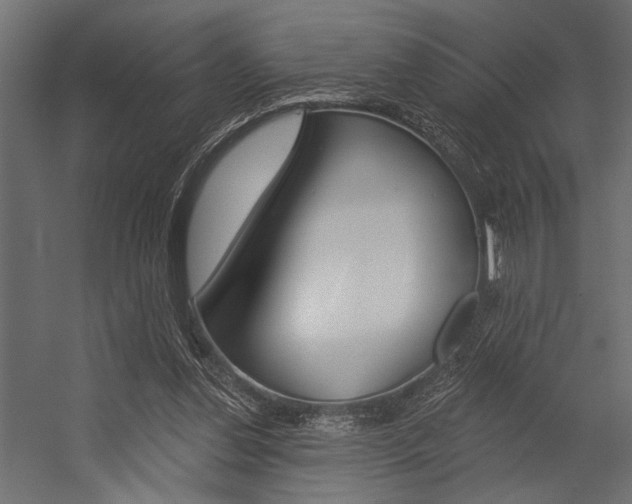 X0000054360252200507290812