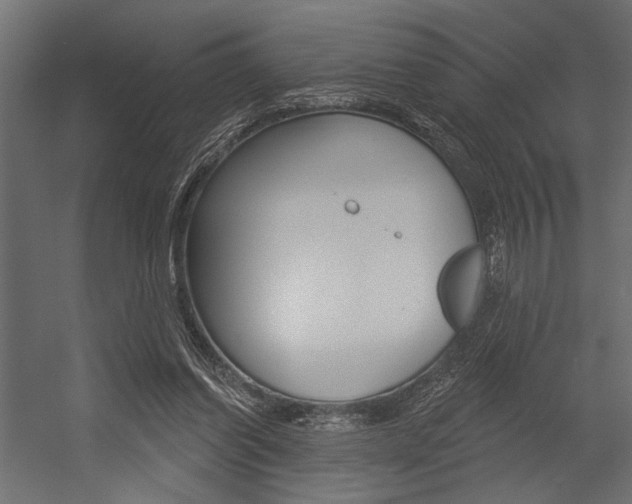 X0000054360254200507290812