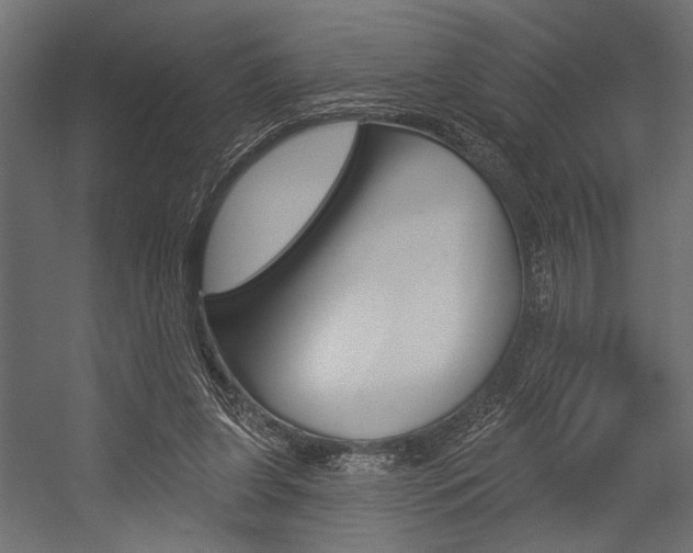 X0000054360255200507290812