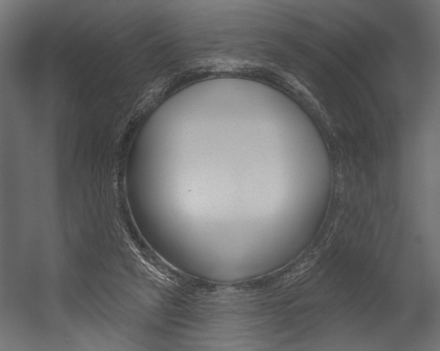 X0000054360257200507290812