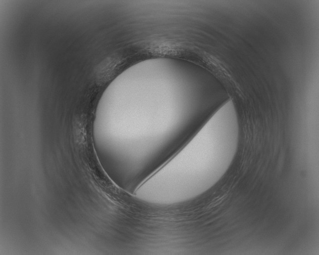 X0000054360259200507290812