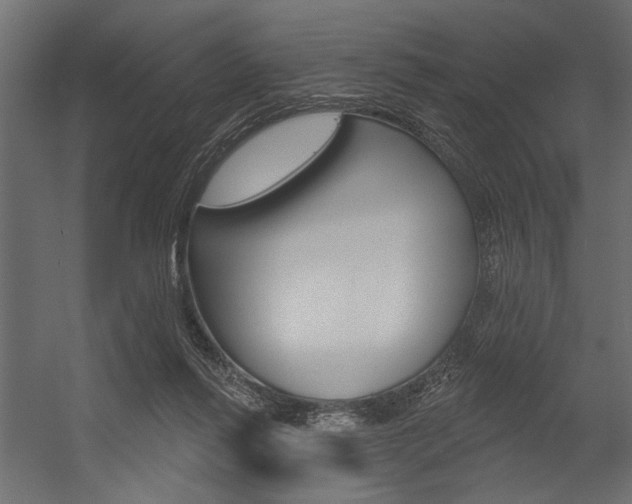 X0000054360262200507290812