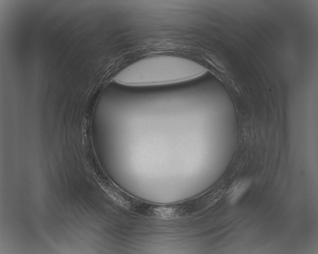 X0000054360265200507290812
