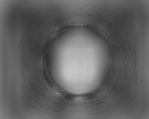 X0000054360268200507290812