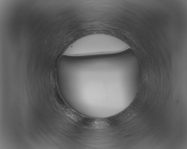 X0000054360270200507290812