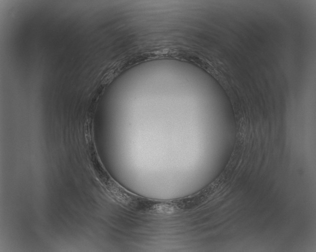 X0000054360272200507290812