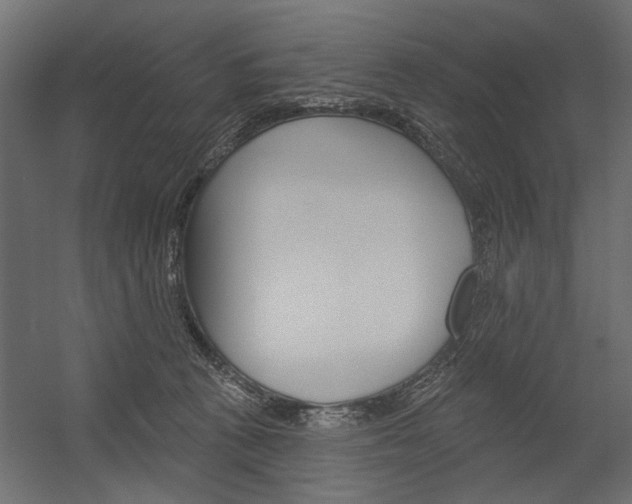 X0000054360273200507290813
