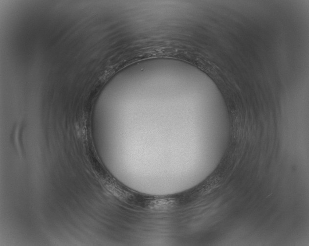 X0000054360274200507290813