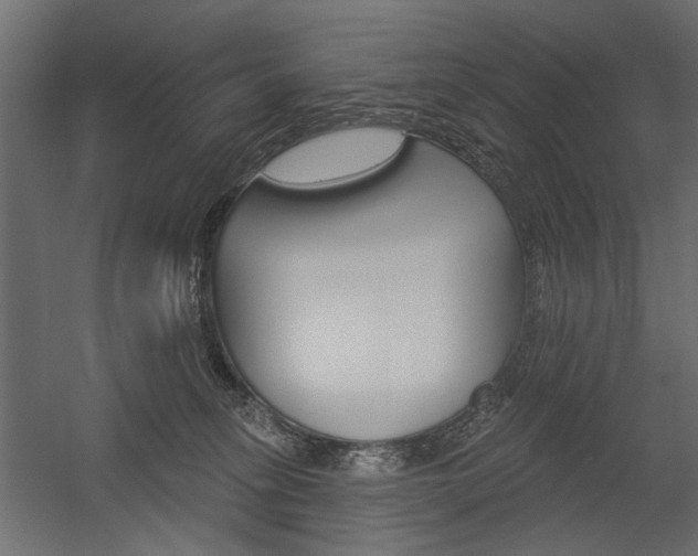 X0000054360275200507290813