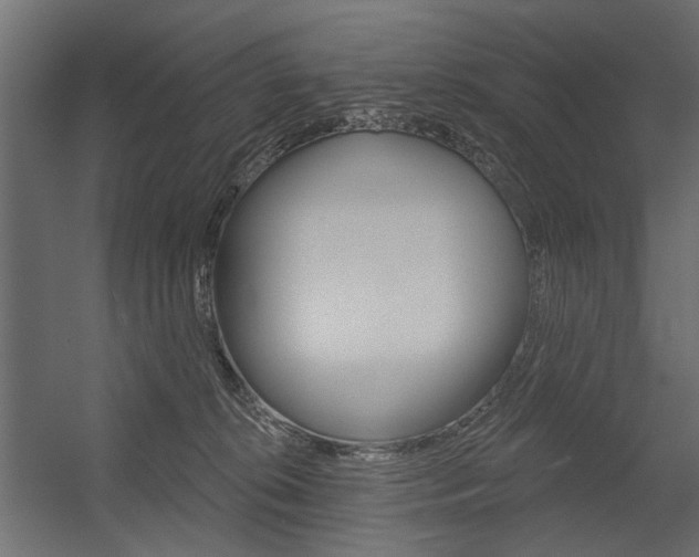 X0000054360276200507290813