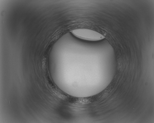 X0000054360278200507290813
