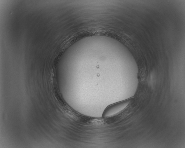 X0000054360279200507290813