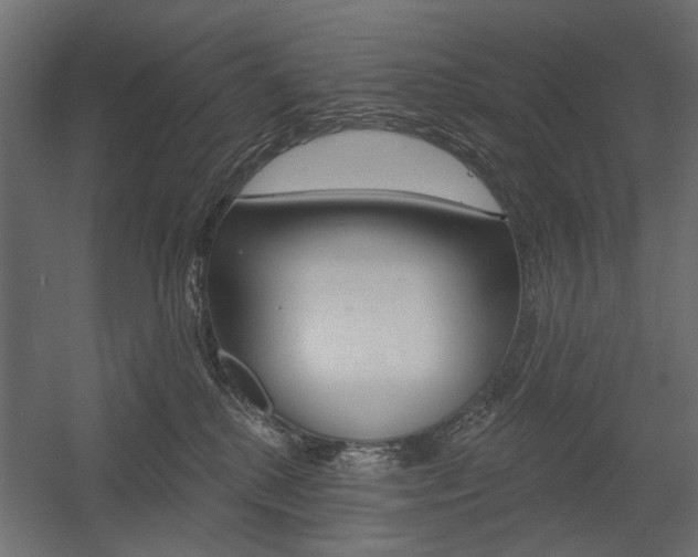 X0000054360280200507290813