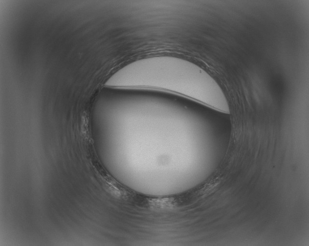 X0000054360281200507290813