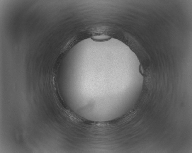 X0000054360282200507290813