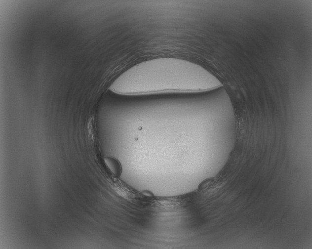 X0000054360286200507290813
