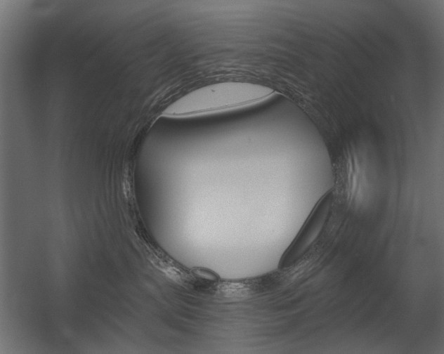 X0000054360287200507290813