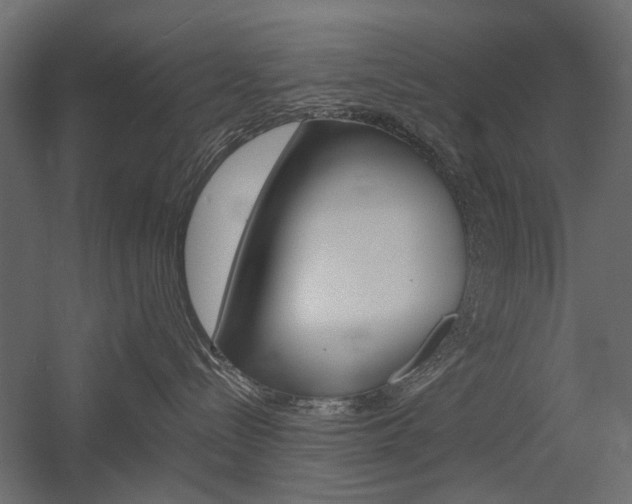 X0000054360288200507290813