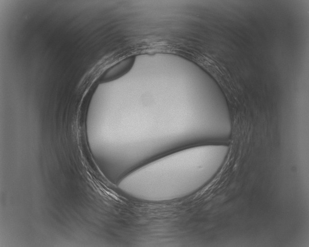 X0000054360290200507290812