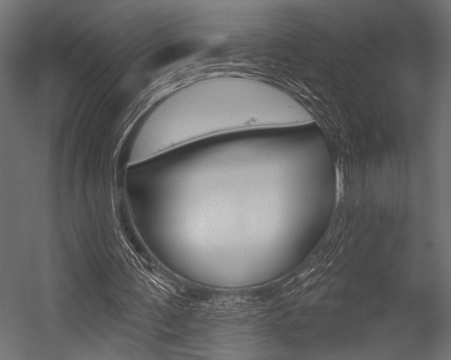 X0000054360291200507290812