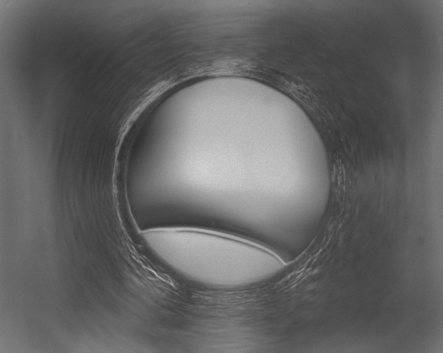 X0000054360292200507290812