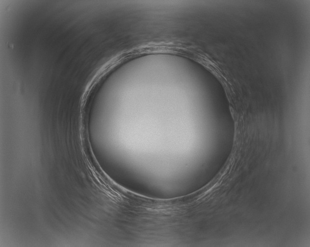 X0000054360293200507290812