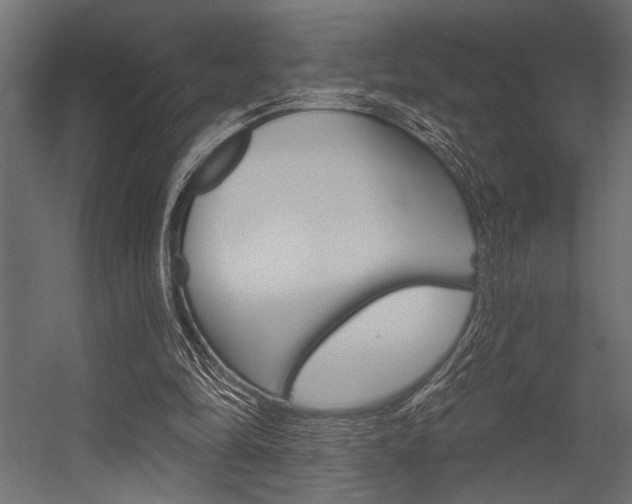 X0000054360294200507290812