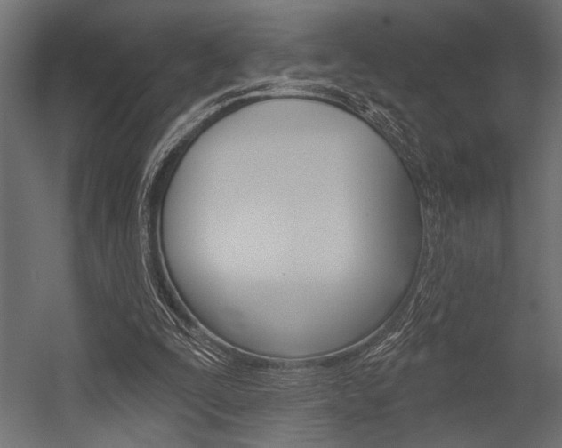 X0000054360295200507290812