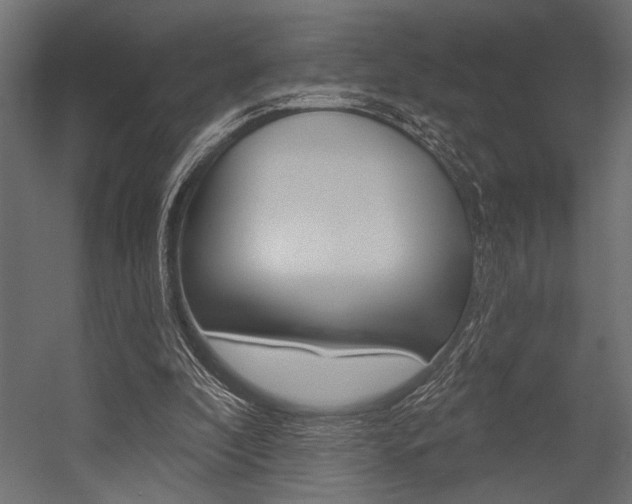 X0000054360296200507290812