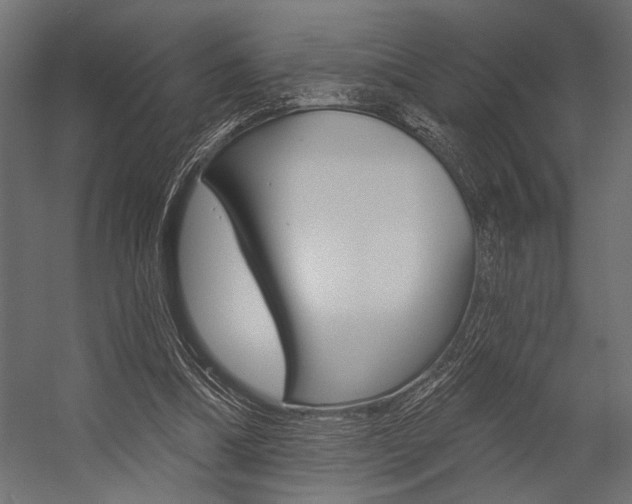 X0000054360298200507290812